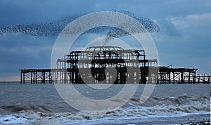 Starlings over the West Pier photo