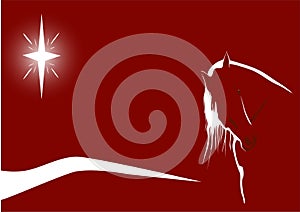 Starlit horse on red photo