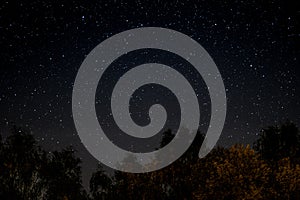 Starlit sky at night - trees and stars photo