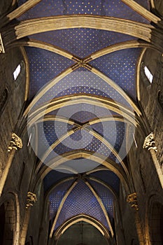 A gothic cathedral ceiling in Neuchatel, Switzerland