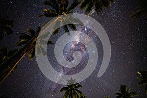 Starry night above Palm trees on the tropical island of Samoa