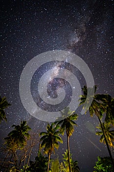 Starry night above Palm trees on the tropical island of Samoa