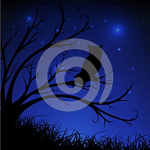 Starry night background with owl looking the pry, tree and grass silhouette. Widescreen starry night background