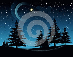 Starry night with a lone Christmas tree illustration