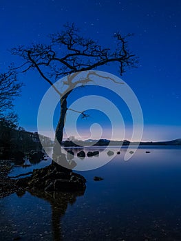 Starry night at Lone Tree at Loch Lomond