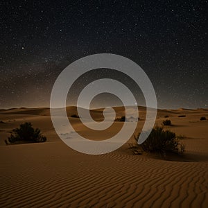 Starry Night Over Desert Dunes