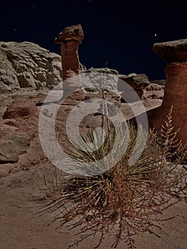 Starry Night over the Toadstools in Southern Utah