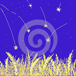 Starry night over a wheat field
