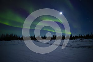 Starry Night with Purple and Green Bands of Northern Lights Aurora