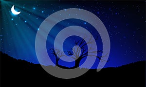 Starry Night sky background with silhouette of tree. Night background with shinny crescent moon and star.