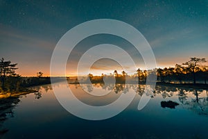 Starry night at a swamp