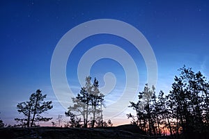 Starry sky over a night rocky forest