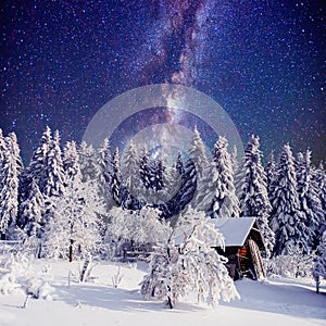 Starry sky and a tree in frost at the beautiful house in the woods in midwinter.