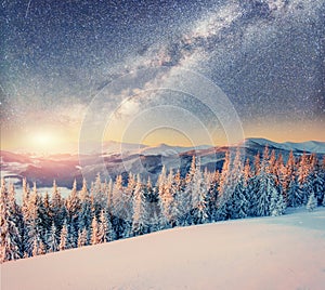 Starry sky in winter snowy night. Carpathians, Ukraine, Europe