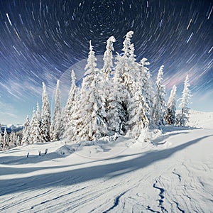 Starry sky in winter snowy night. fantastic milky way in the New Year`s Eve. In anticipation of the holiday. Dramatic