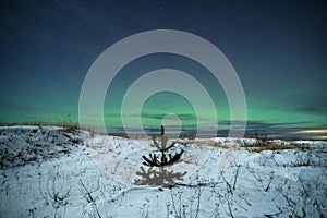 Stars and Aurora borealis observing in Latvia Vidzeme Vidzemes krasti Gauja Latvia photo