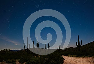 Stars at Night in the Arizona Desert