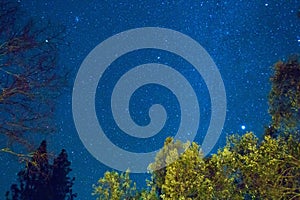 Stars in the night sky