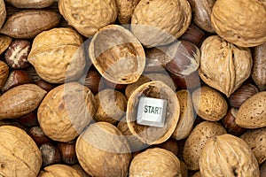 Start button in the shell of a walnut