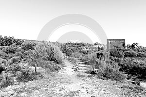 Start of Lots Wife and Vensterklippe hiking trail. Monochrome