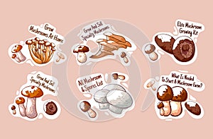 Start mushroom farm badge collection vector engraved illustration growing at home tag