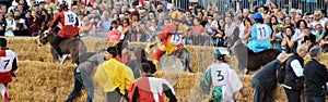 Start of the truffle fair in Alba (Cuneo), has been held for more than 50 years, the donkey race