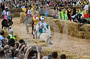 Start of the truffle fair in Alba (Cuneo), has been held for more than 50 years, the donkey race