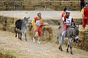 Start of the truffle fair in Alba (Cuneo), has been held for more than 50 years, the donkey race