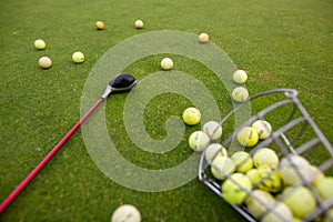 Starting pack for golf players, a lot of training balls on the ground with golf club, sport concept