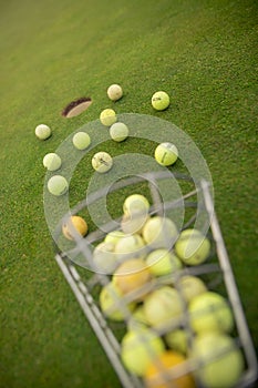 Starting pack for golf players, a lot of training balls on the ground, sport concept