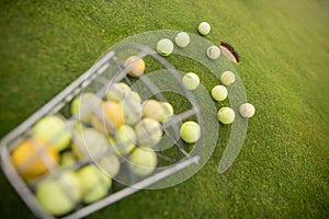 Starting pack for golf players, a lot of training balls on the ground, sport concept