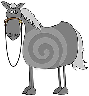 Startled gray horse