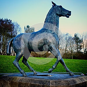 Startled Horse Bronze Sculpture by Mark Delf photo