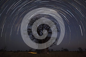 Startrail at Baines campsite