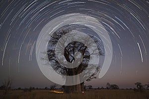 Startrail at Baines campsite