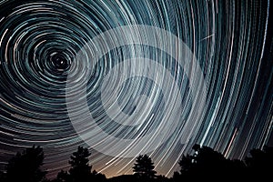 Startrails