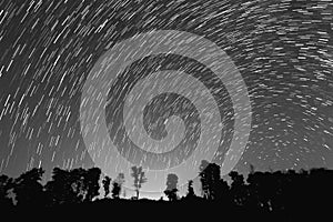 Startrails in black and white