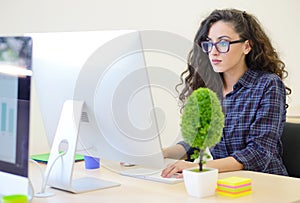 Startup business, software developer working on computer at modern office