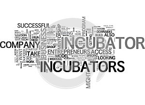 Are Startup Incubators Right For You Word Cloud photo