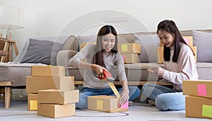 Startup small business owner working with computer at workplace. Freelance two woman seller check product order. Packing goods for
