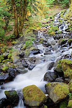 Starvation Creek Falls
