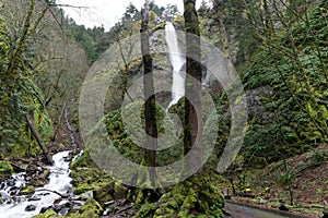 Starvation Creek Falls