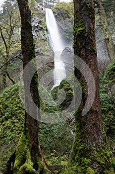 Starvation Creek Falls