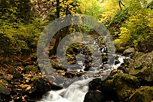 Starvation Creek Falls Landscape, Columbia River Gorge, Oregon