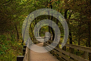 Starved Rock