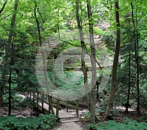 Starved rock trail photo