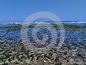 The state of the beach at low tide