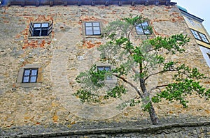 State castle Buchlov. The first building of the castle dates back to the 13th century. Region South Moravia, Czech