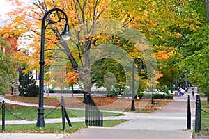 State College Campus in the fall