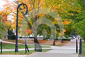 State College Campus in the fall photo